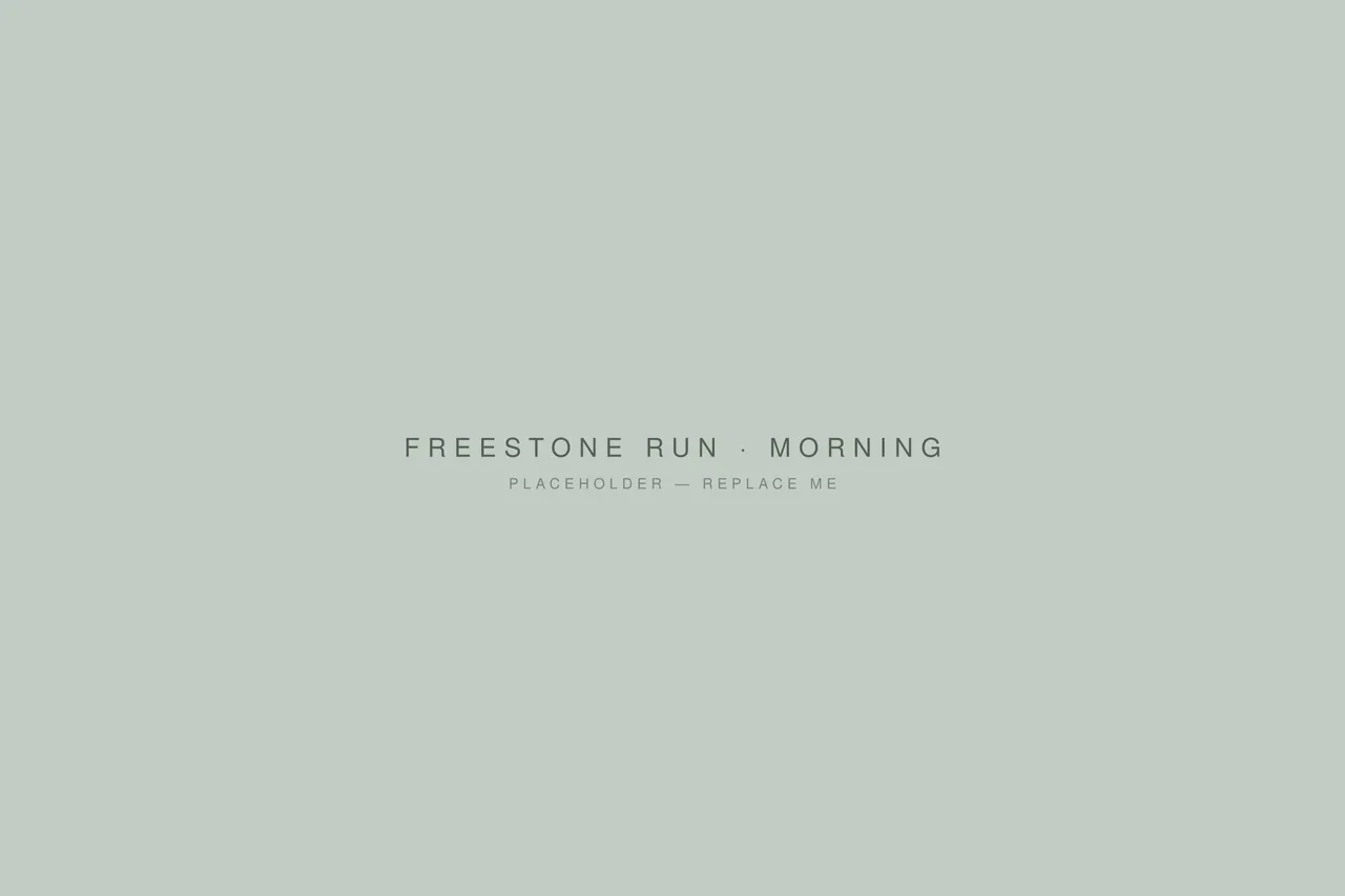 A freestone run in morning light, seen from the bank.